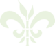 fleur muette